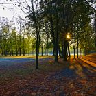 Herbst im Seckendorff Park in Meuselwitz Thüringen 