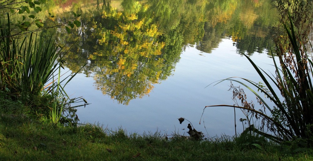 Herbst im See