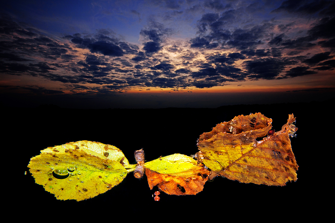 Herbst im See 