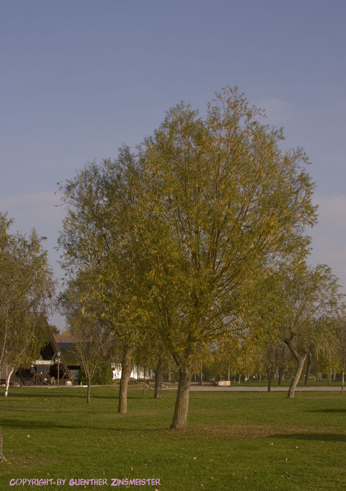 Herbst im Seebad