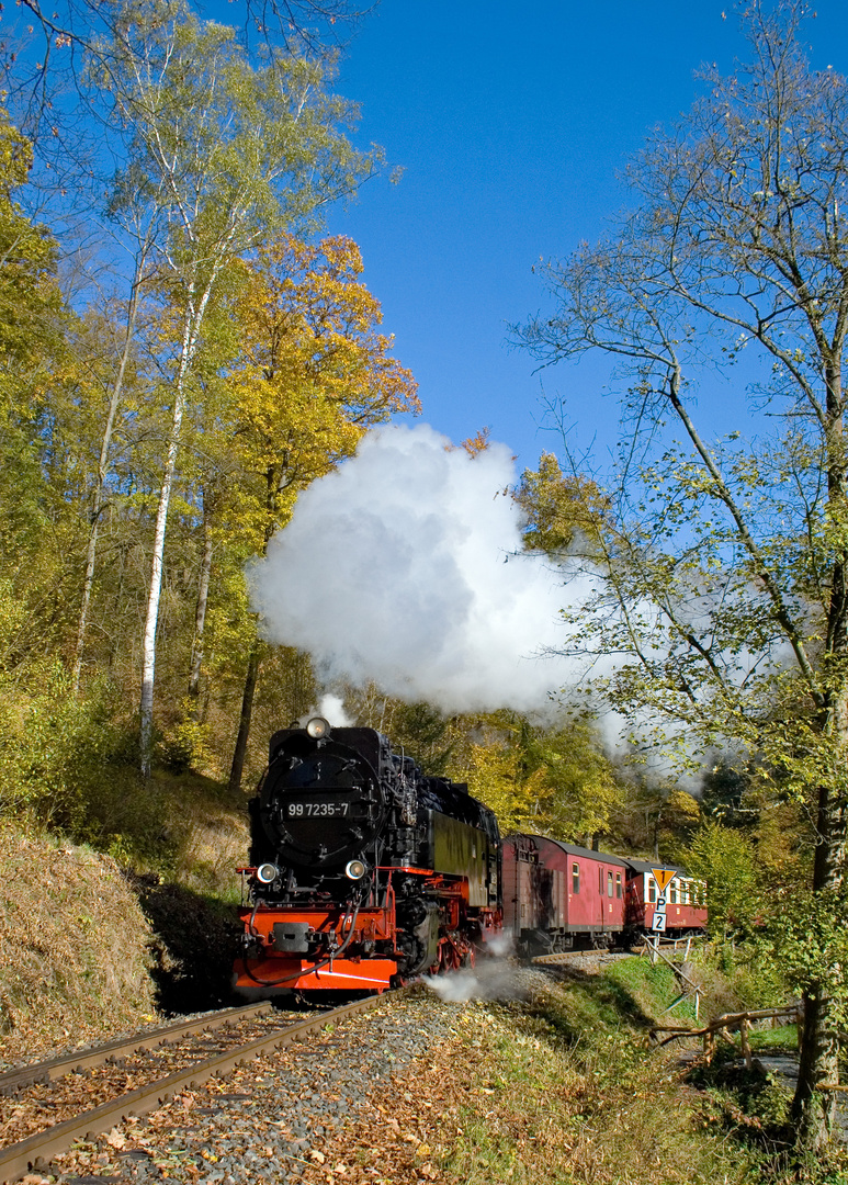 Herbst im Selketal