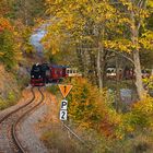  Herbst im Selketal