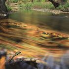 Herbst im Selketal