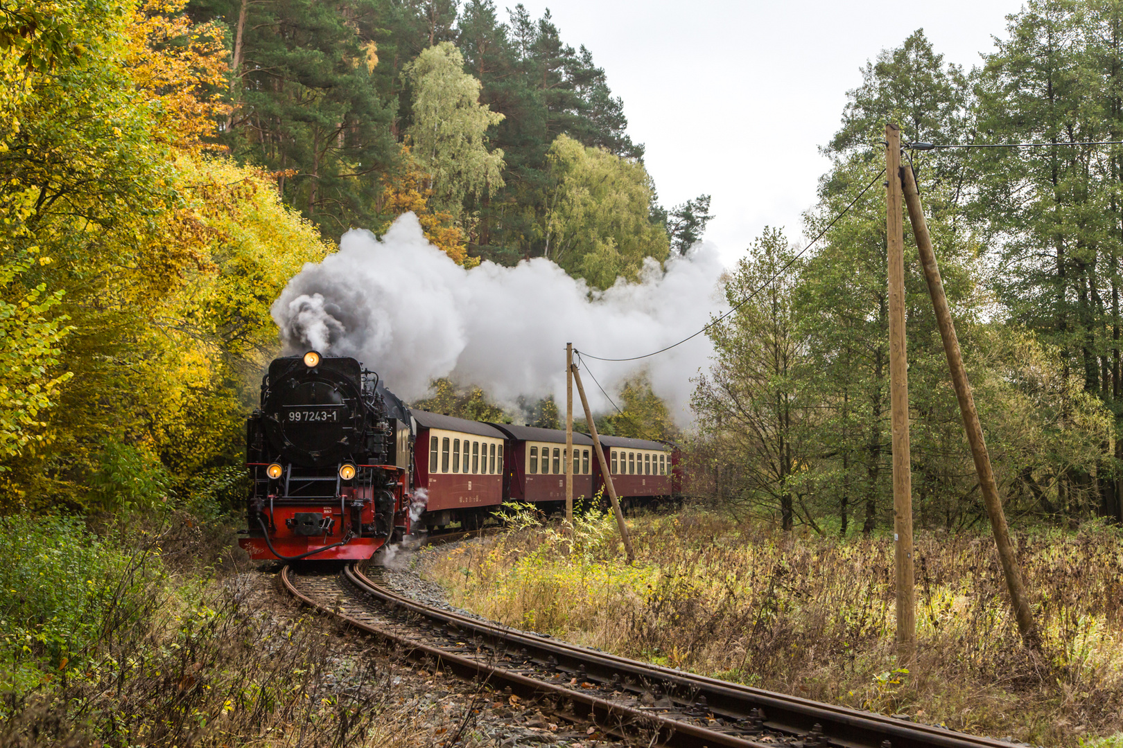 Herbst im Selketal