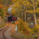 Herbst im Selketal