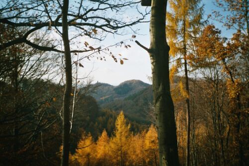Herbst im Siebengebirge