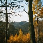 Herbst im Siebengebirge
