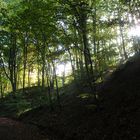 Herbst im Siebengebirge 1