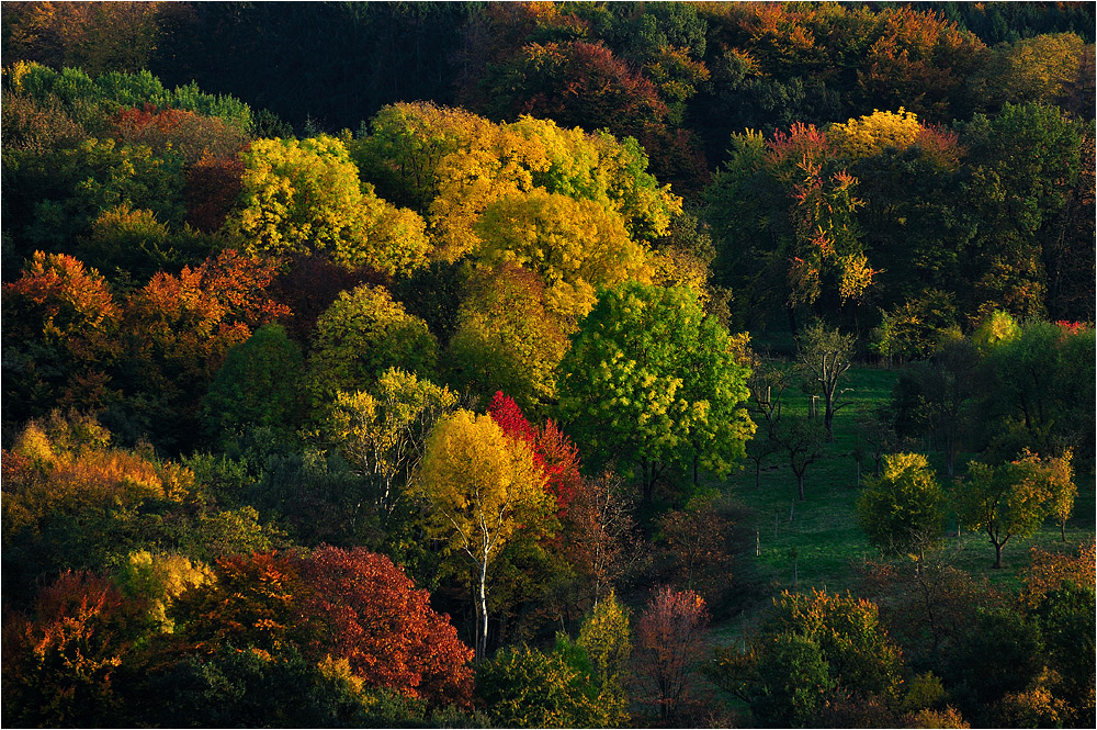 Herbst im Siebengebirge