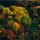 Herbst im Siebengebirge