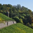 Herbst im Siebengebirge