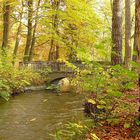 Herbst im Siebentischwald