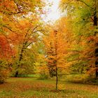 Herbst im Siebentischwald