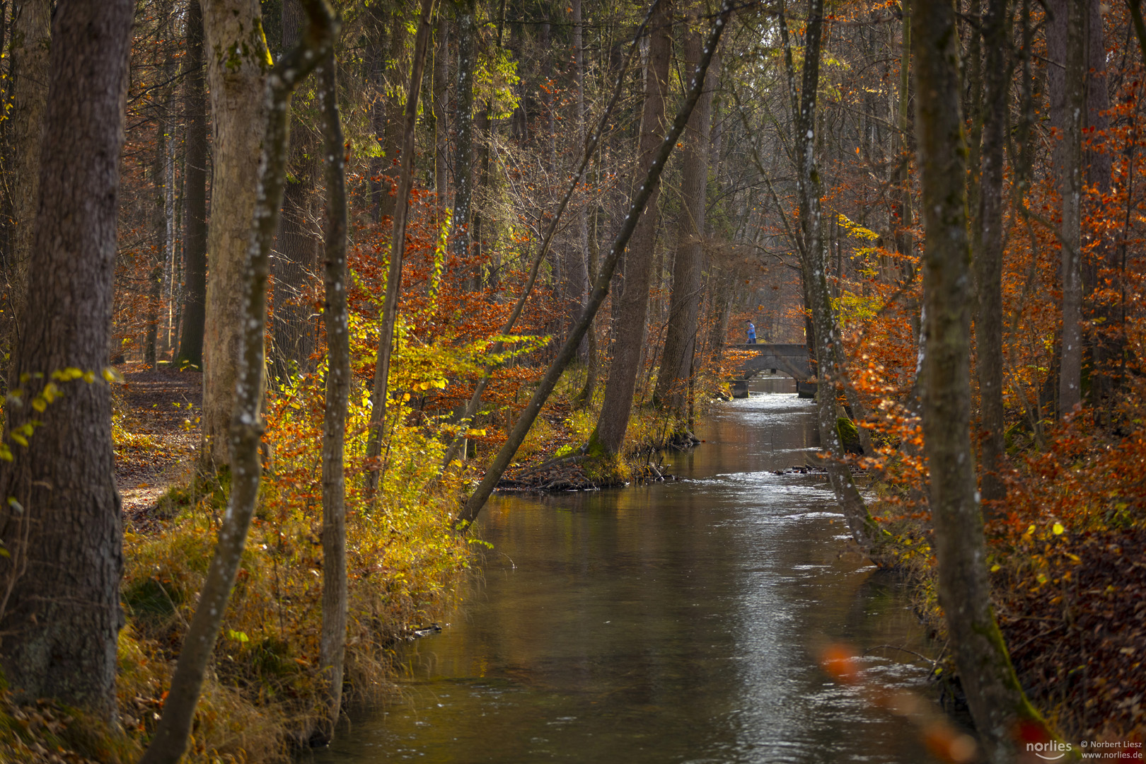 Herbst im Siebentischwald