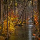 Herbst im Siebentischwald