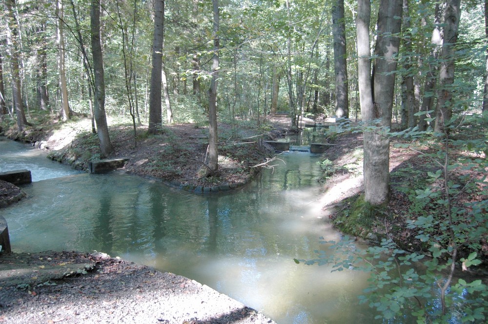 Herbst im Siebentischwald in Augsburg Foto & Bild | landschaft, bach