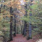 Herbst im Siegerland