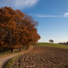 Herbst im Siegerland