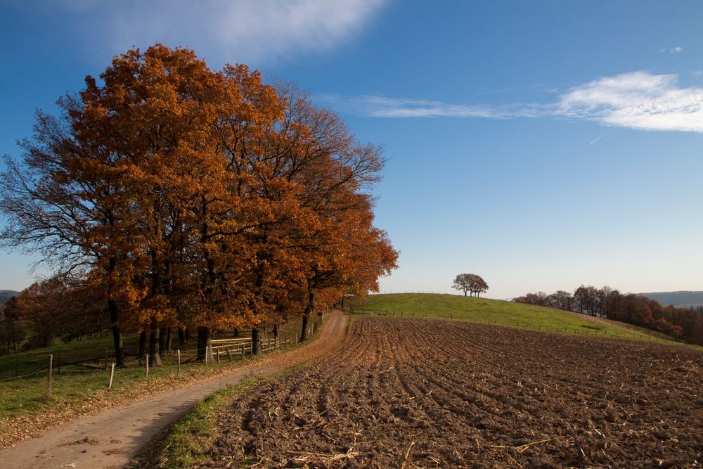 Herbst im Siegerland