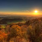 Herbst im Sihlwald