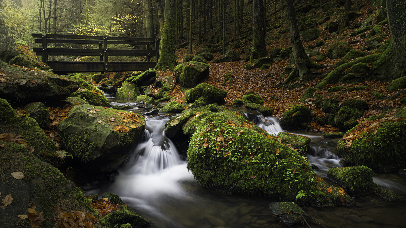 Herbst im Silberbachtal #2