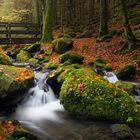 Herbst im Silberbachtal #2