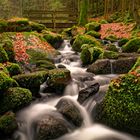 Herbst im Silberbachtal