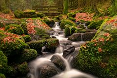 Herbst im Silberbachtal