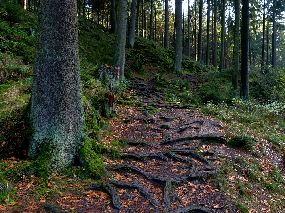 Herbst im Silberbachtal