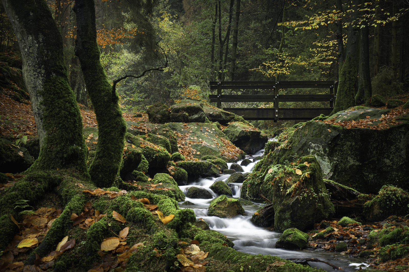 Herbst im Silberbachtal