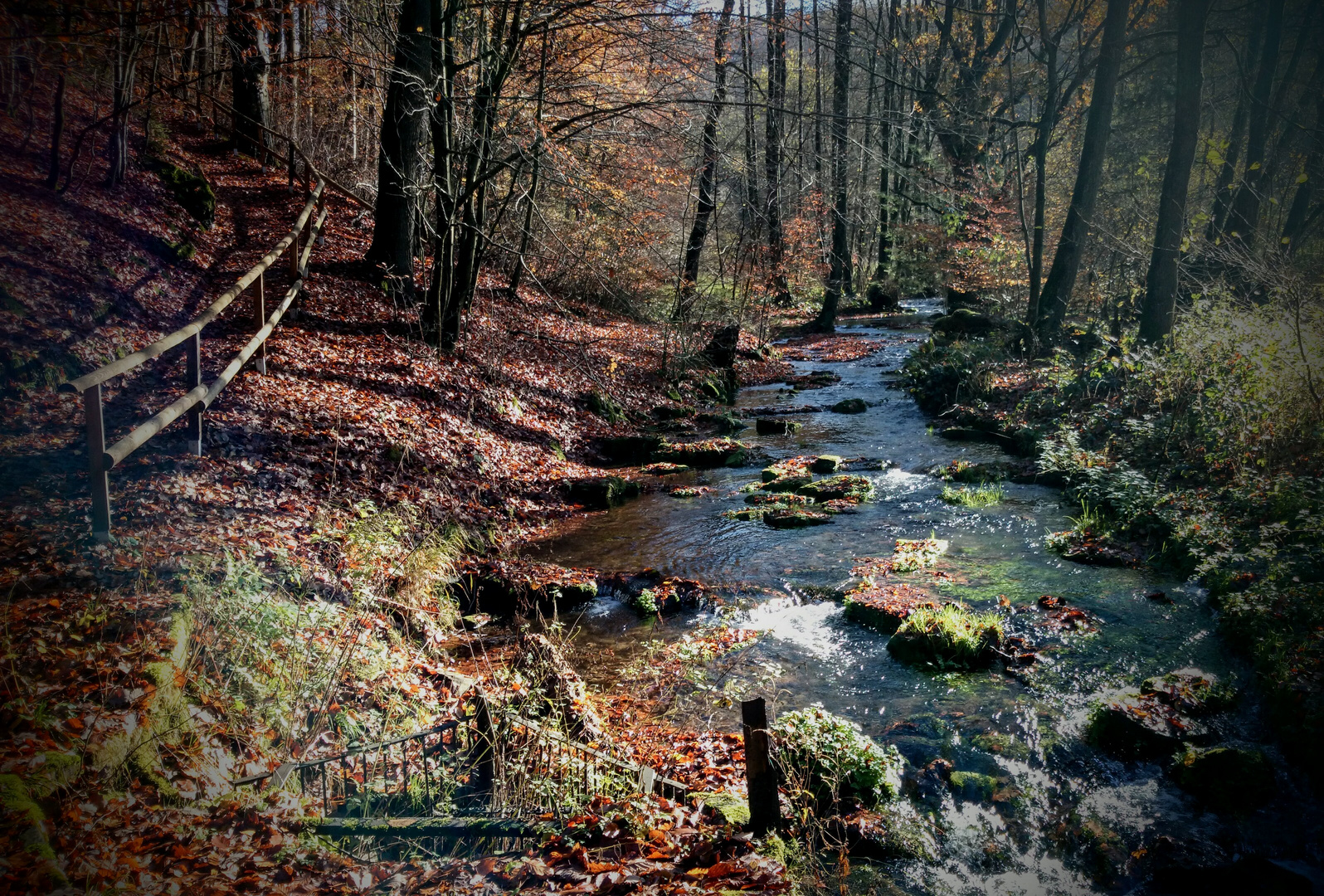 Herbst im Solling 1