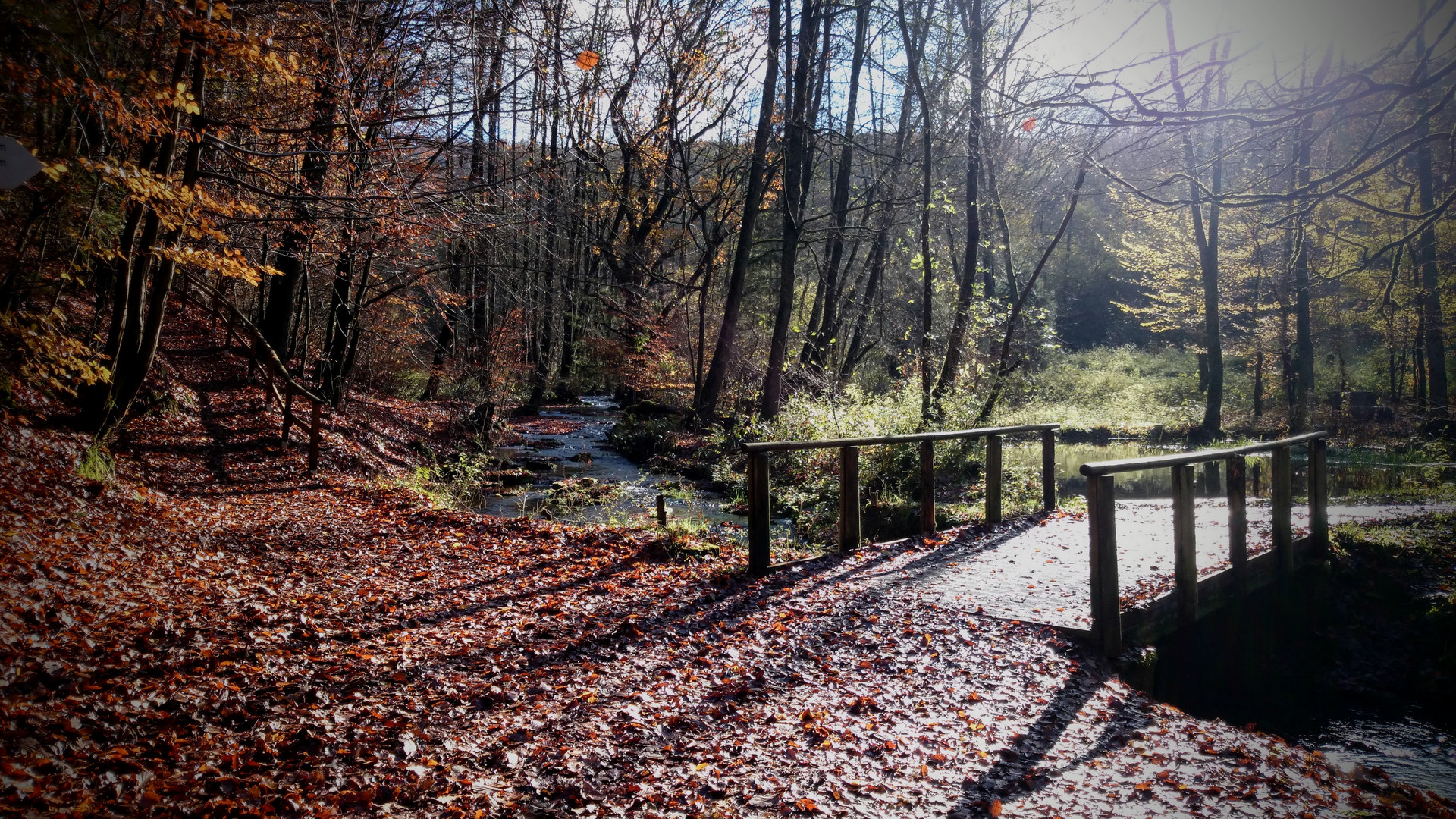 Herbst im Solling 2