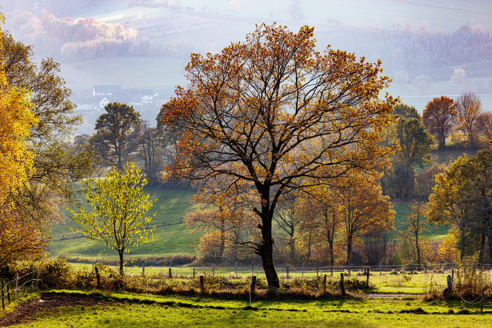 Herbst im Solling