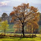 Herbst im Solling