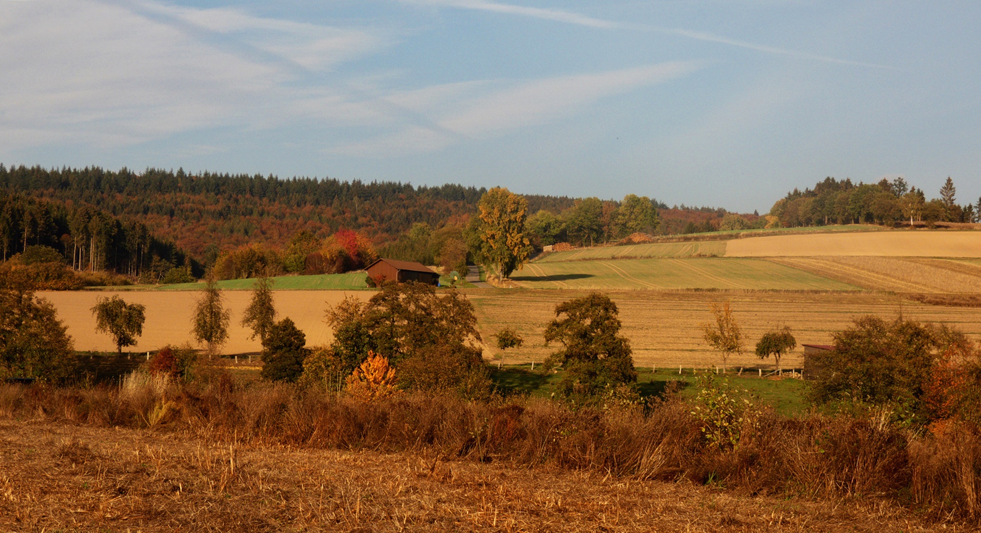 Herbst im Solling