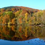 Herbst im Solling