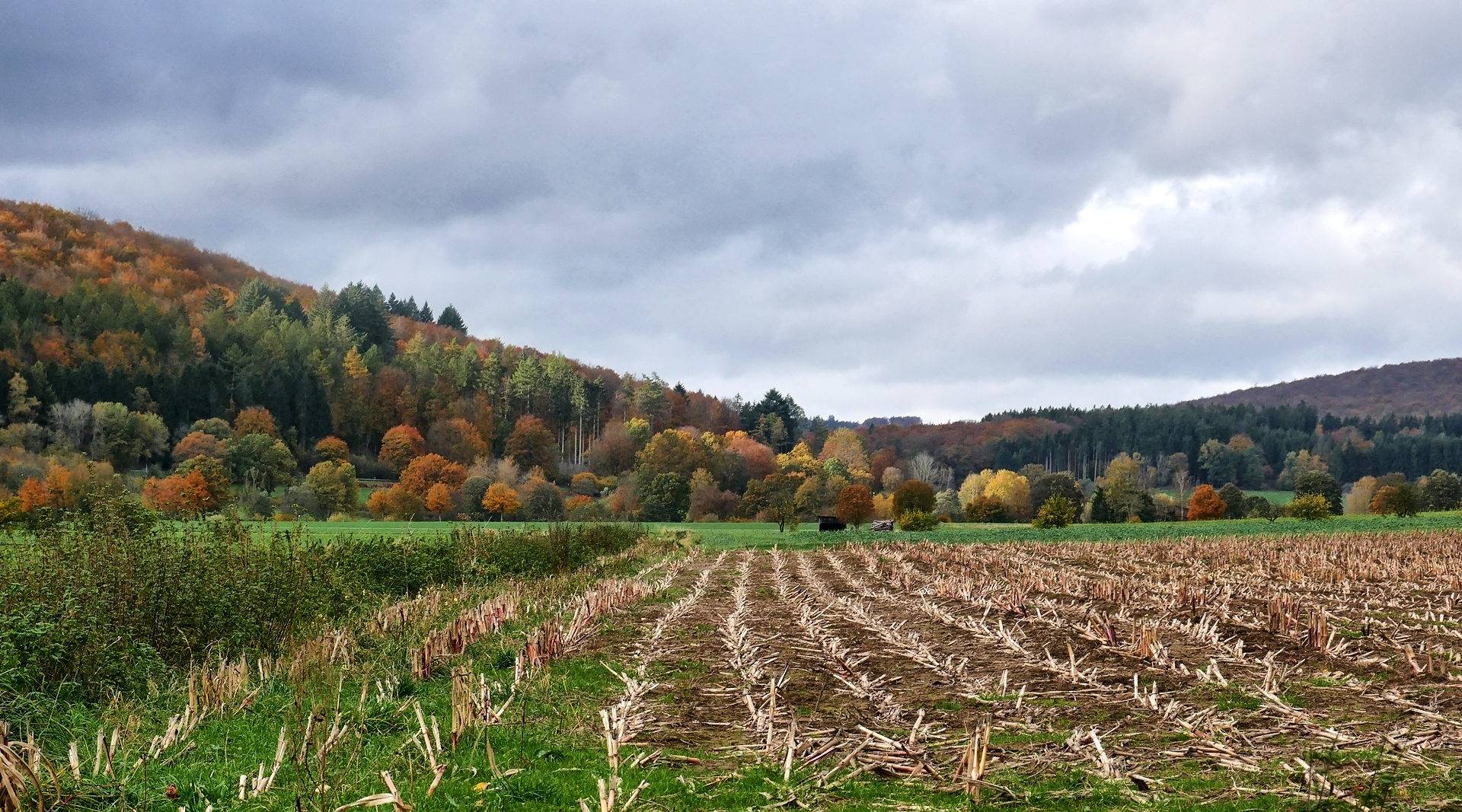 Herbst im Solling