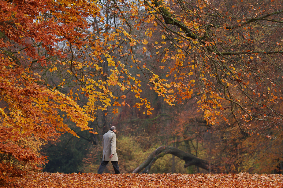 Herbst im Sonntagskleid