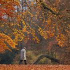 Herbst im Sonntagskleid