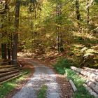 Herbst im Spessart