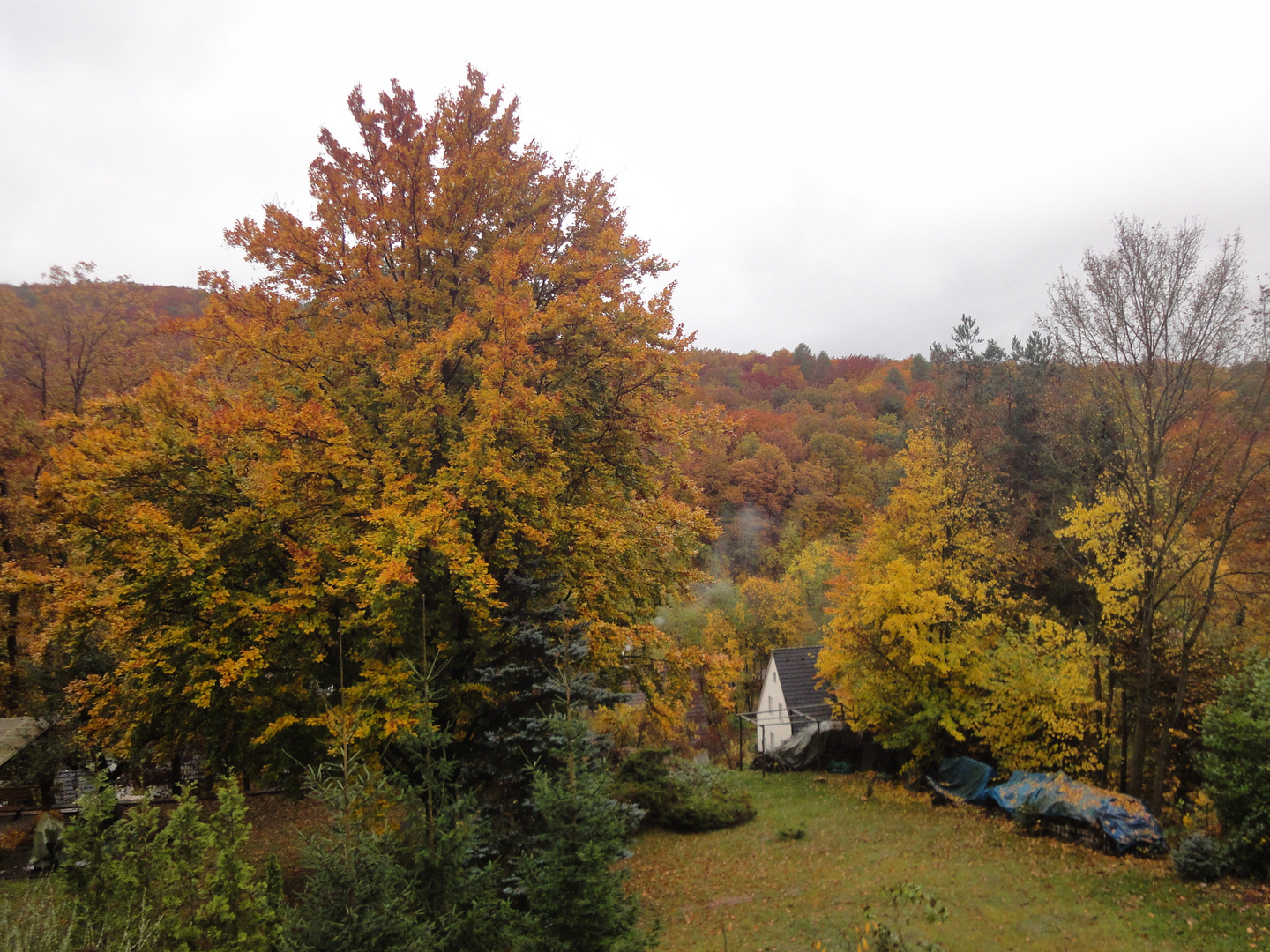 Herbst im Spessart 1