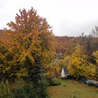 Herbst im Spessart 1