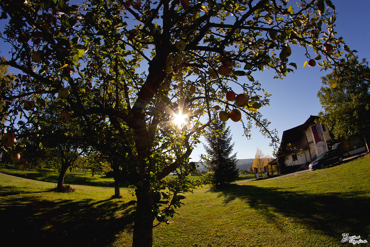 Herbst im Spessart