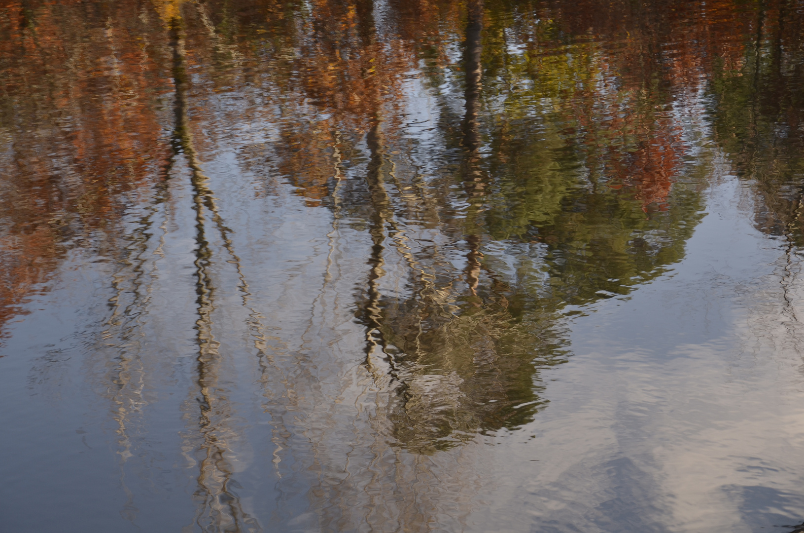 herbst im spiegel