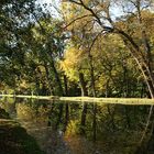 Herbst im Spiegel