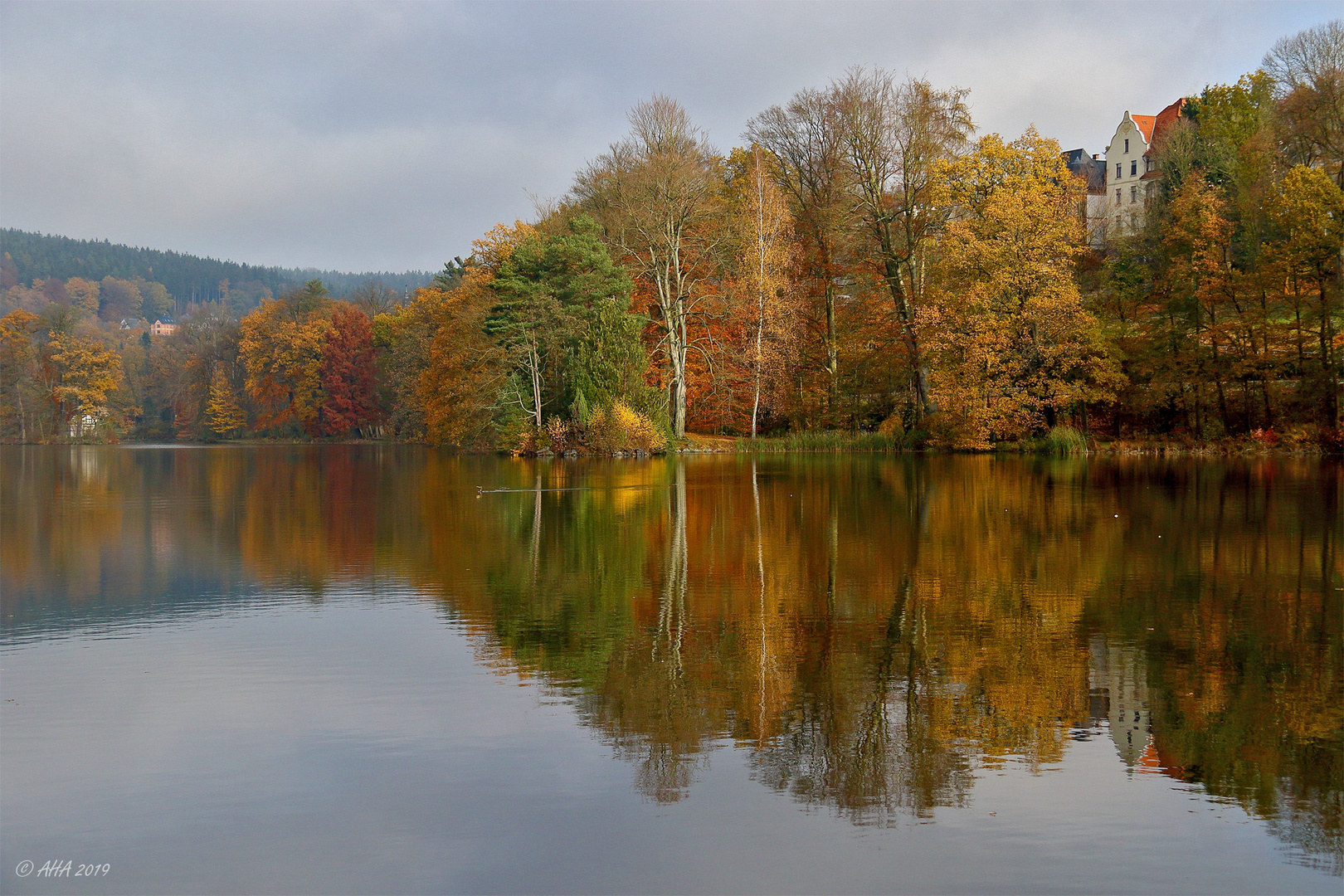 Herbst im Spiegel