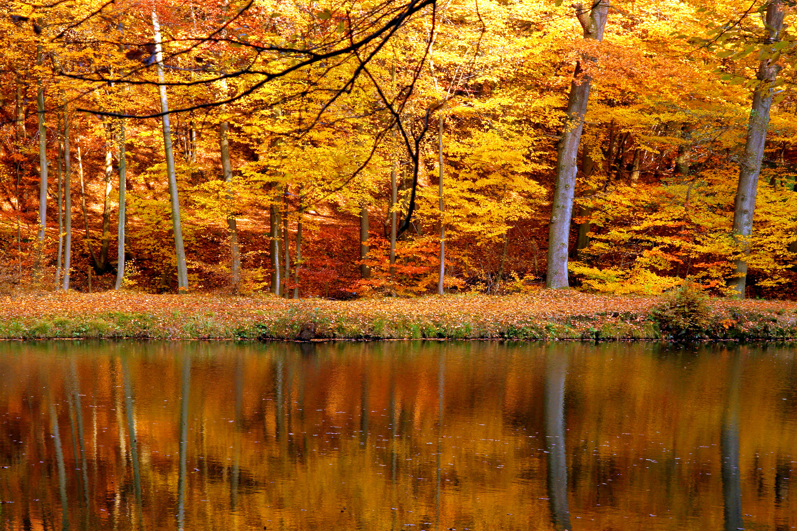 Herbst im Spiegel