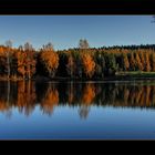 Herbst im Spiegel