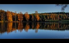 Herbst im Spiegel