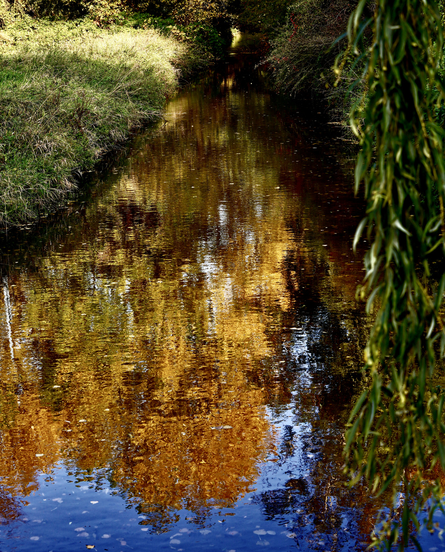 Herbst im Spiegel